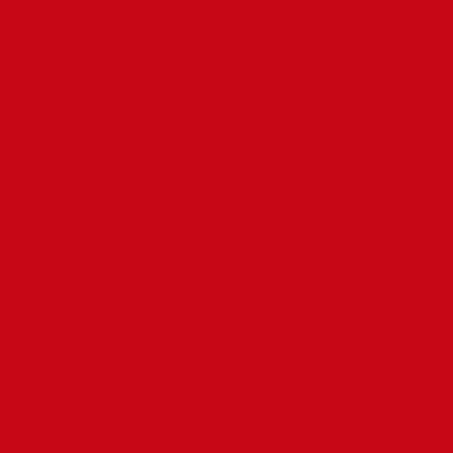 Red Cookies BROWNIE VELVET LIP TINT 4g