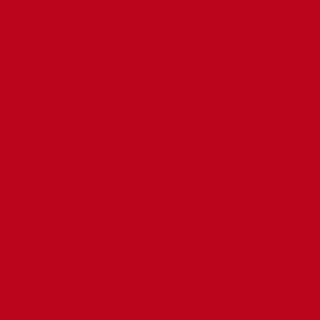 Red Cookies BROWNIE VELVET LIP TINT 4g
