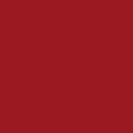 Red Cookies BROWNIE VELVET LIP TINT 4g