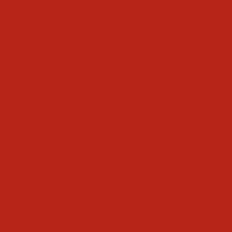 Red Cookies BROWNIE VELVET LIP TINT 4g