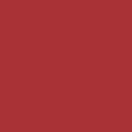 Red Cookies BROWNIE VELVET LIP TINT 4g
