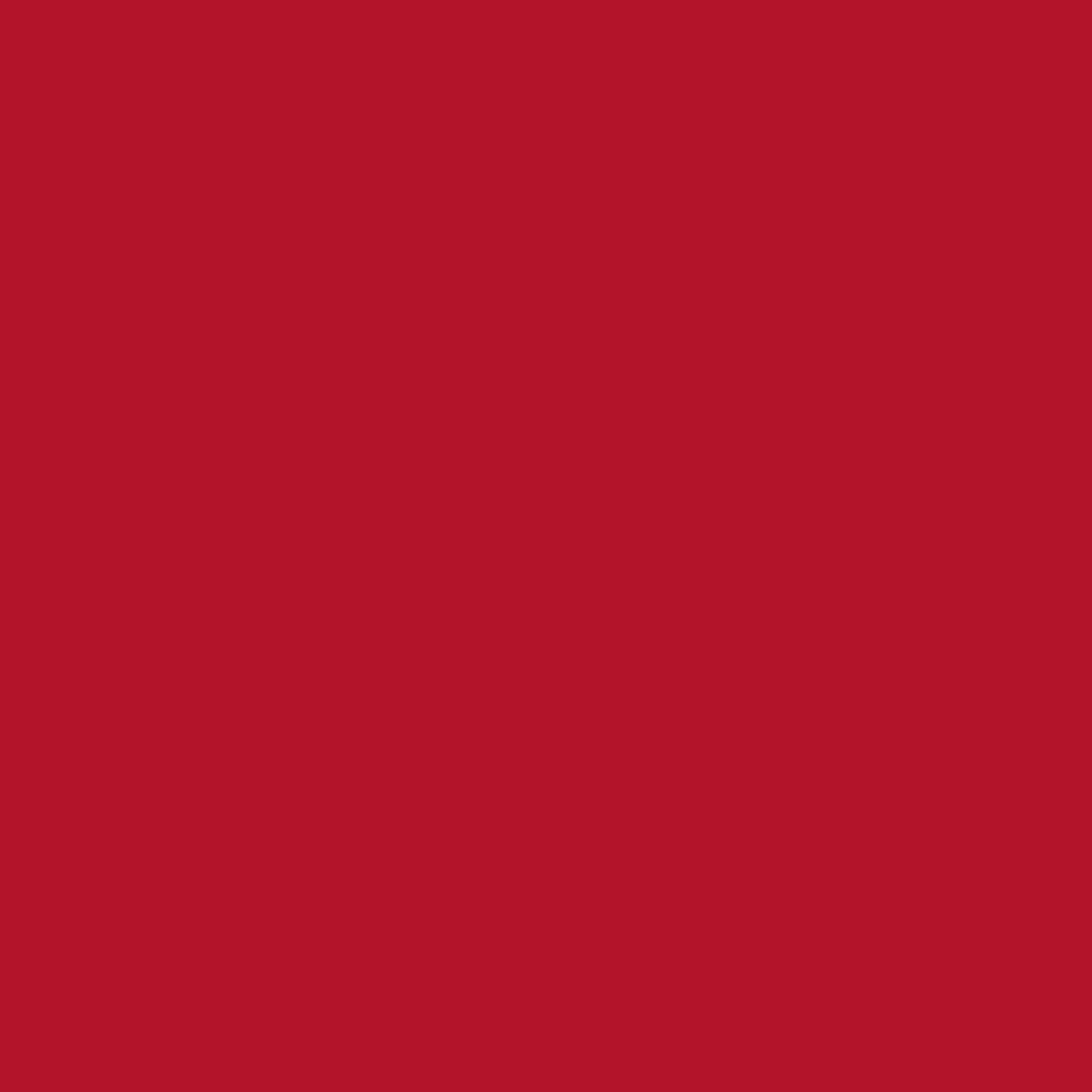 Red Cookies GLOW WATER WRAP TINT 4.5g