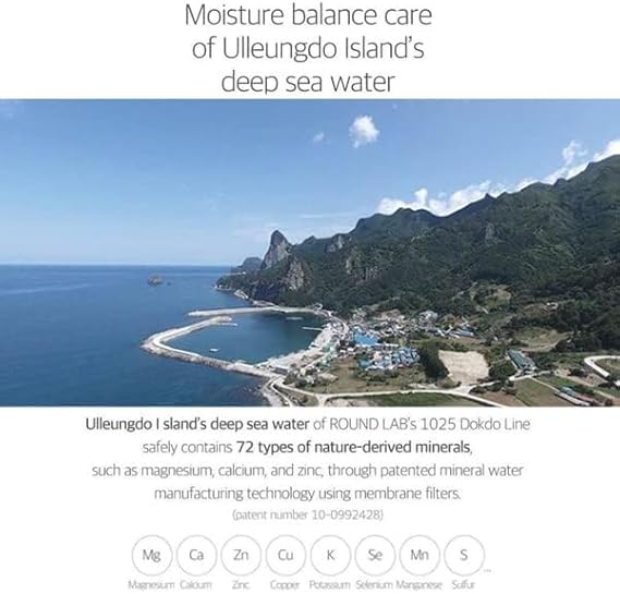 ROUND LAB 1025 Dokdo Toner 6.76 Fl Oz, Oil Control and Reduces Excess Sebum, Gentle Exfoliating Facial Toner, Deep Sea Water for Moisturization, Soft Finish Without Stickiness, Korean Skin Care