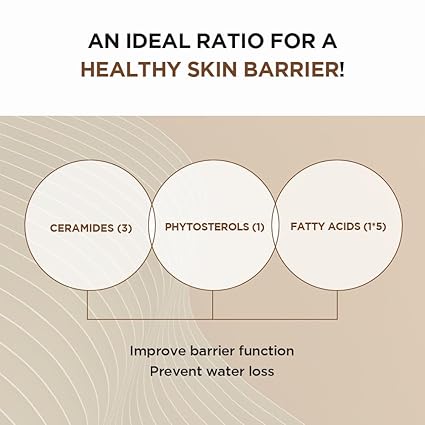 Skin1004 Probio-Cica Intensive Ampoule 50ml