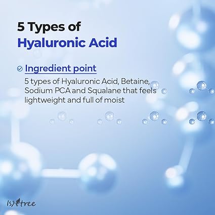 Isntree Hyaluronic Acid Aqua Gel Cream 100ml