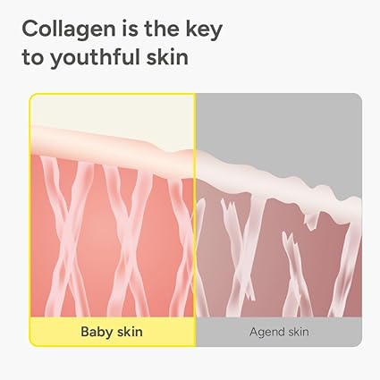 SUNGBOON EDITOR Deep Collagen Anti-Wrinkle Cream In Serum 30ml
