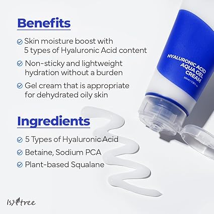 Isntree Hyaluronic Acid Aqua Gel Cream 100ml