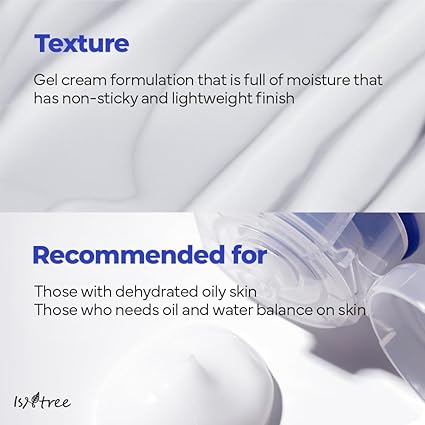 Isntree Hyaluronic Acid Aqua Gel Cream 100ml