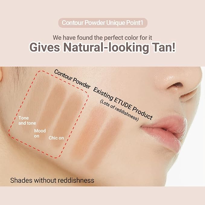 Etude House Contour Powder 10g -01 Creator