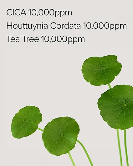 Mary & May Cica Houttuynia Cordata Tea Tree Calming Mask Pack - 30 sheets