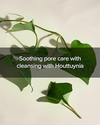 Mary & May Houttuynia Cordata + Tea Tree Cleansing Foam - 150ml
