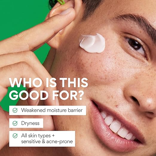 Innisfree Green Tea Hyaluronic Cream 50ml